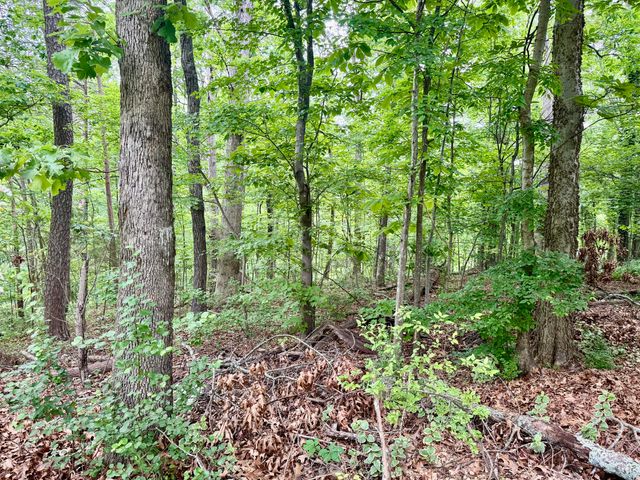 1988 Warwickshire Drive, Soddy Daisy, TN 37379