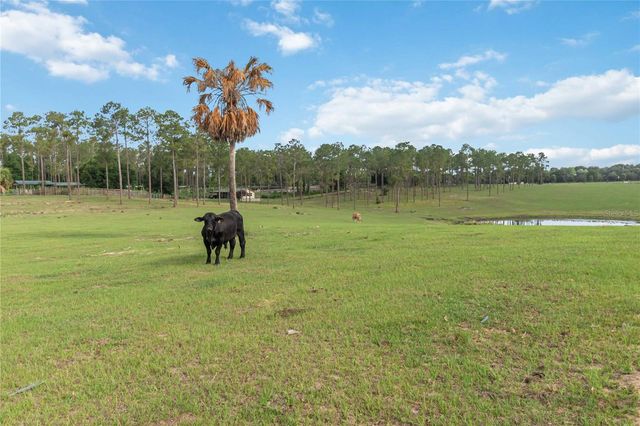 23175 N BUCKHILL ROAD, Howey In The Hills, FL 34737