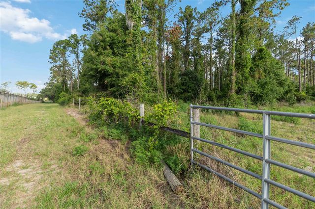 23175 N BUCKHILL ROAD, Howey In The Hills, FL 34737