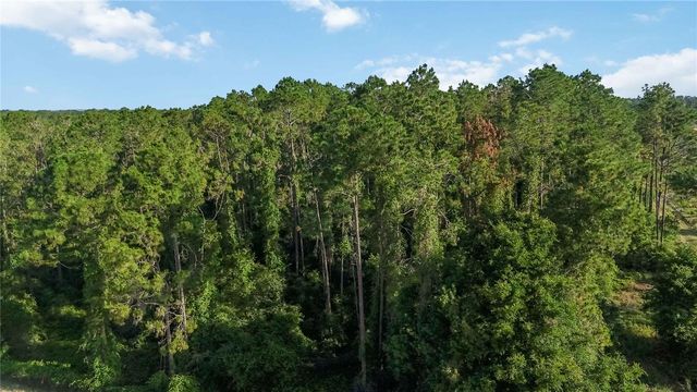 23175 N BUCKHILL ROAD, Howey In The Hills, FL 34737