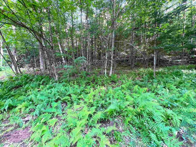 302 Davidson Hill Road, Chester, VT 05143
