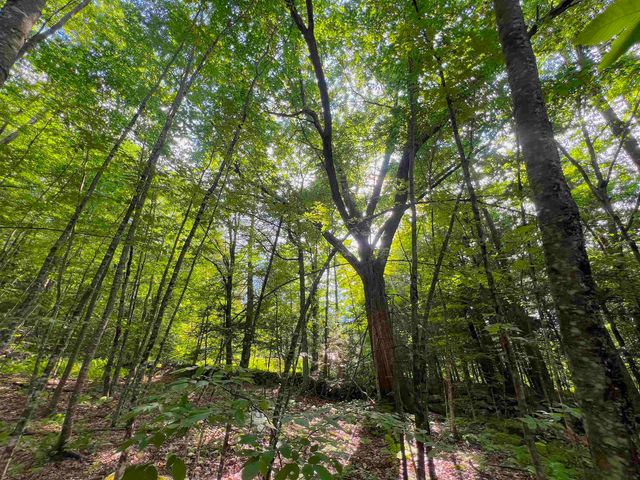 302 Davidson Hill Road, Chester, VT 05143
