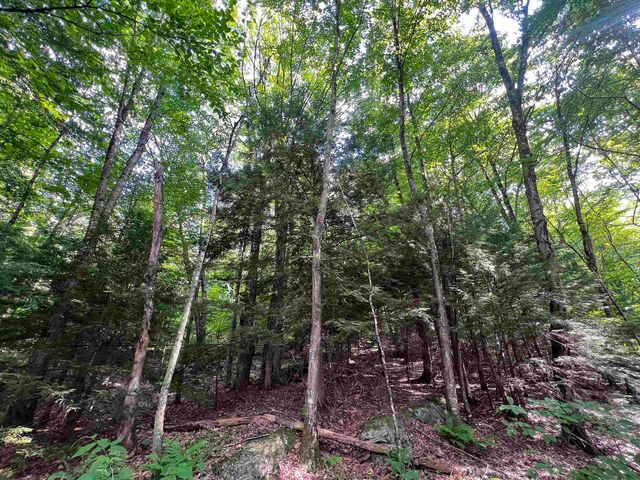 302 Davidson Hill Road, Chester, VT 05143