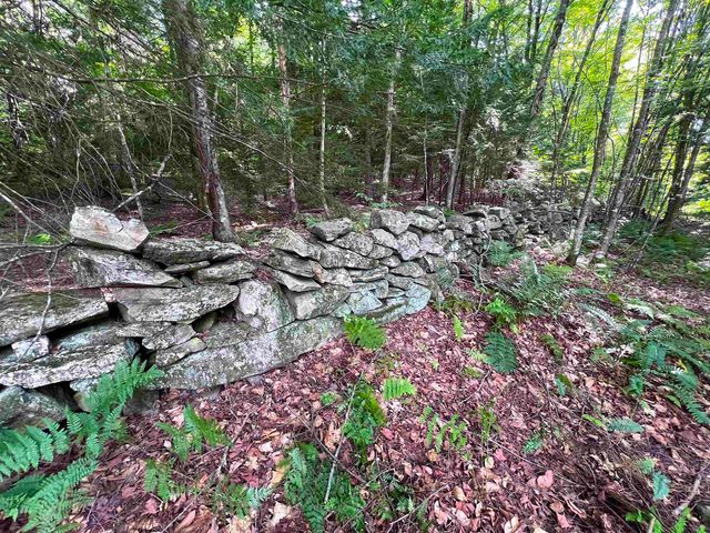 302 Davidson Hill Road, Chester, VT 05143