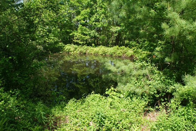 28 Island Road, Deerfield, NH 03037