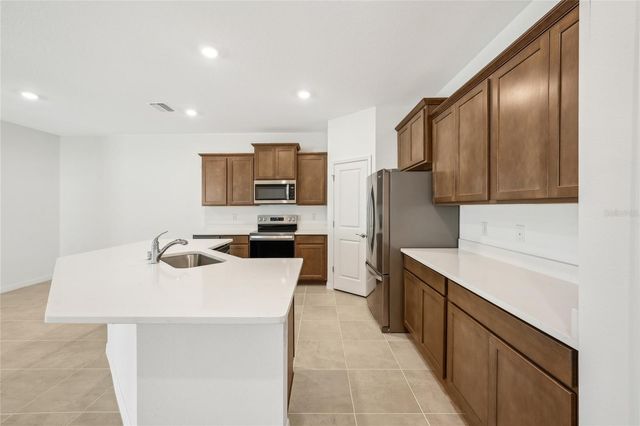 32665 RUSTIC RISE ROAD, San Antonio, FL 33576