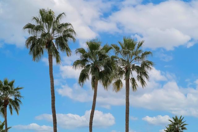 282 N Orchid Tree Lane, Palm Springs, CA 92262