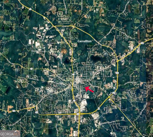 209 Hill Drive, Carrollton, GA 30117