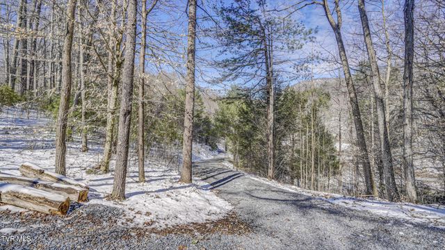 1089 Old Railroad Grade Road, Roan Mountain, TN 37687