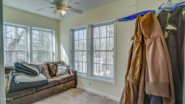 1089 Old Railroad Grade Road, Roan Mountain, TN 37687