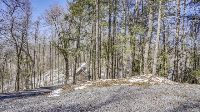 1089 Old Railroad Grade Road, Roan Mountain, TN 37687