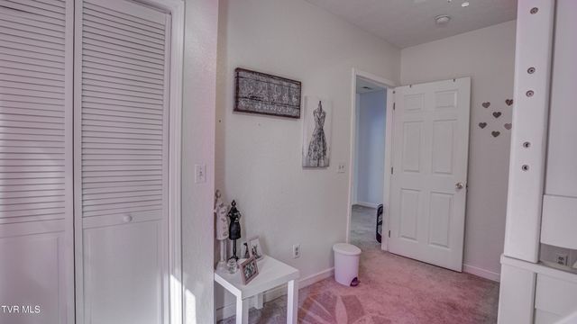1089 Old Railroad Grade Road, Roan Mountain, TN 37687