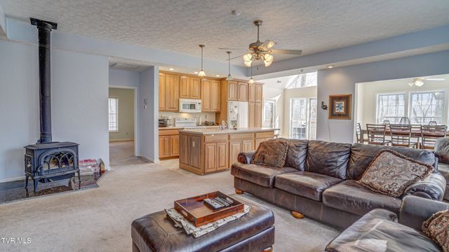 1089 Old Railroad Grade Road, Roan Mountain, TN 37687