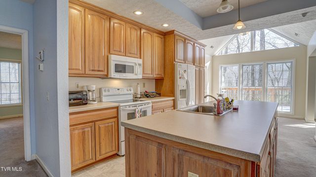 1089 Old Railroad Grade Road, Roan Mountain, TN 37687