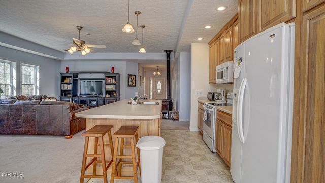 1089 Old Railroad Grade Road, Roan Mountain, TN 37687