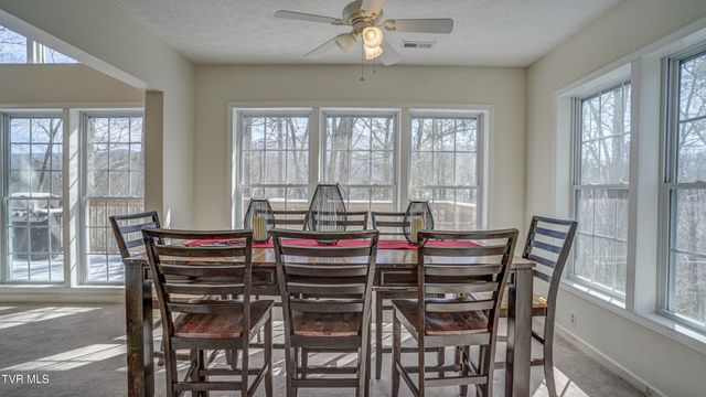 1089 Old Railroad Grade Road, Roan Mountain, TN 37687