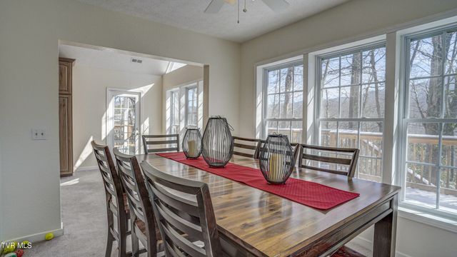 1089 Old Railroad Grade Road, Roan Mountain, TN 37687