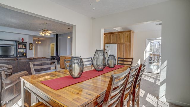 1089 Old Railroad Grade Road, Roan Mountain, TN 37687
