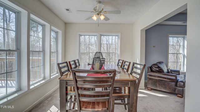 1089 Old Railroad Grade Road, Roan Mountain, TN 37687
