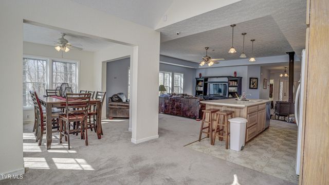 1089 Old Railroad Grade Road, Roan Mountain, TN 37687