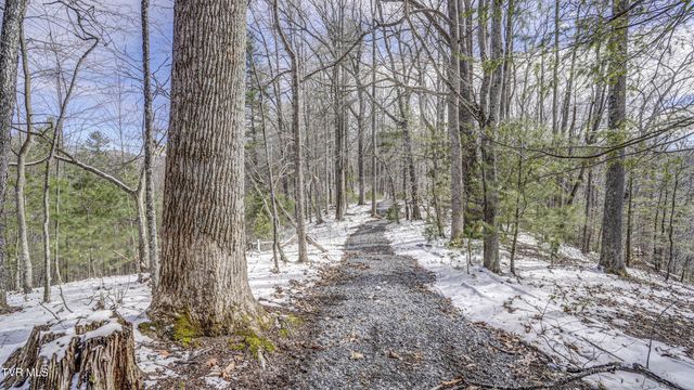 1089 Old Railroad Grade Road, Roan Mountain, TN 37687