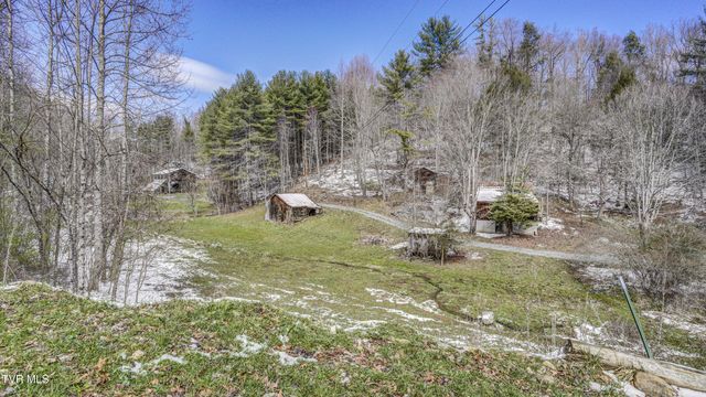 1089 Old Railroad Grade Road, Roan Mountain, TN 37687