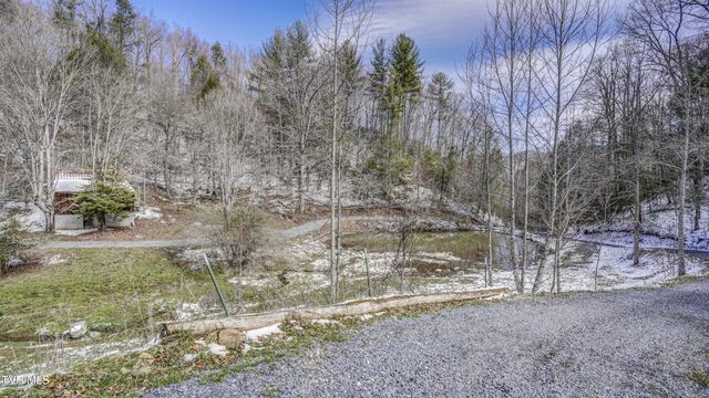 1089 Old Railroad Grade Road, Roan Mountain, TN 37687