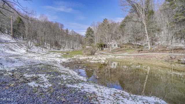 1089 Old Railroad Grade Road, Roan Mountain, TN 37687