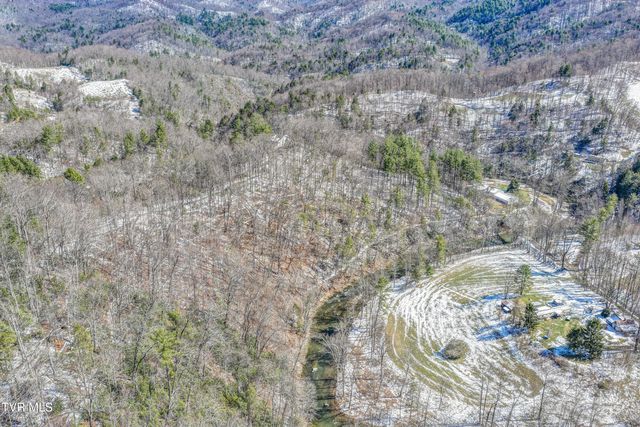 1089 Old Railroad Grade Road, Roan Mountain, TN 37687