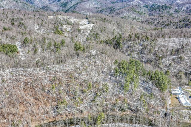 1089 Old Railroad Grade Road, Roan Mountain, TN 37687