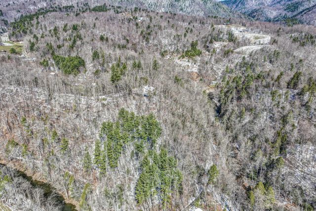 1089 Old Railroad Grade Road, Roan Mountain, TN 37687