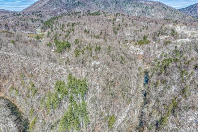 1089 Old Railroad Grade Road, Roan Mountain, TN 37687