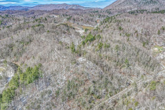 1089 Old Railroad Grade Road, Roan Mountain, TN 37687