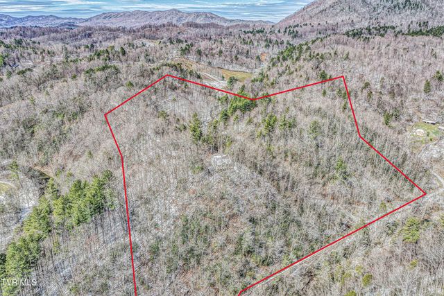 1089 Old Railroad Grade Road, Roan Mountain, TN 37687