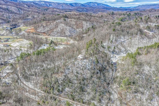 1089 Old Railroad Grade Road, Roan Mountain, TN 37687