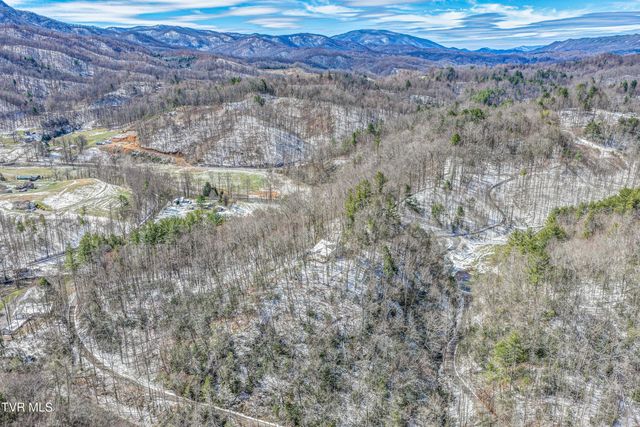 1089 Old Railroad Grade Road, Roan Mountain, TN 37687