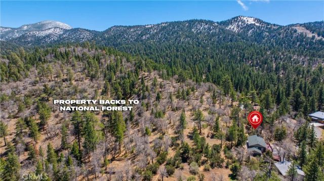 43656 Ridge Crest, Big Bear Lake, CA 92315