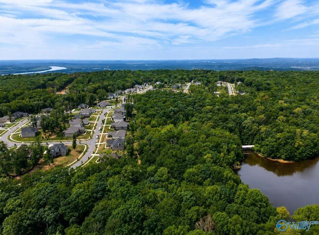 54 Natures Ridge Way, Huntsville, AL 35803