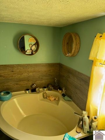 172 Mobile Heights, Mayfield, KY 42066