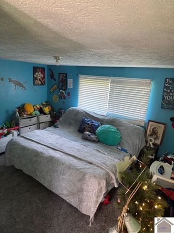 172 Mobile Heights, Mayfield, KY 42066