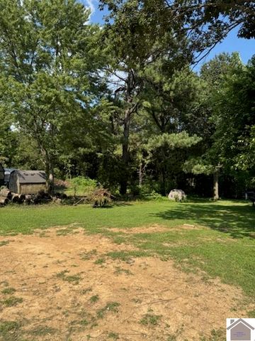 172 Mobile Heights, Mayfield, KY 42066