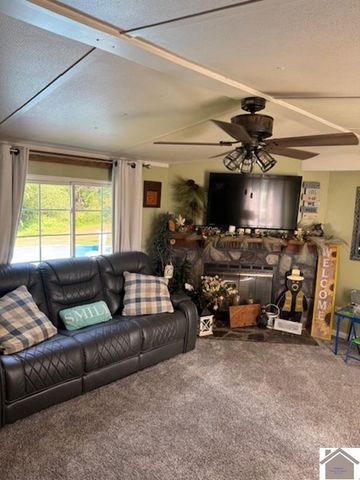 172 Mobile Heights, Mayfield, KY 42066