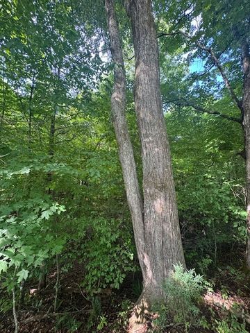 0 Anson Rd, Cookeville, TN 38501