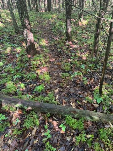 0 Anson Rd, Cookeville, TN 38501