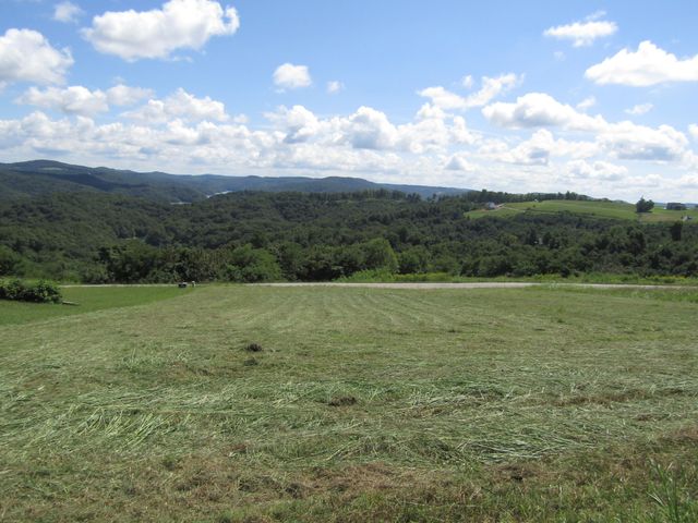 48 Swan Ridge Rd, E, Hilham, TN 38568
