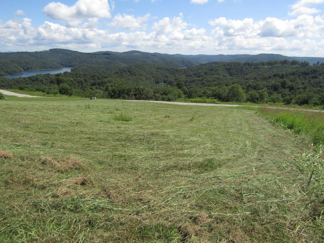 48 Swan Ridge Rd, E, Hilham, TN 38568