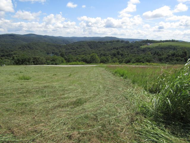 48 Swan Ridge Rd, E, Hilham, TN 38568