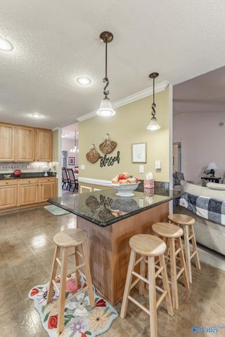 519 Summer Cove Circle NW, Madison, AL 35757