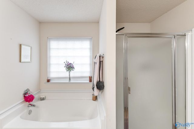 519 Summer Cove Circle NW, Madison, AL 35757