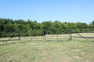 9.97 ac Fm-36, Farmersville, TX 75442